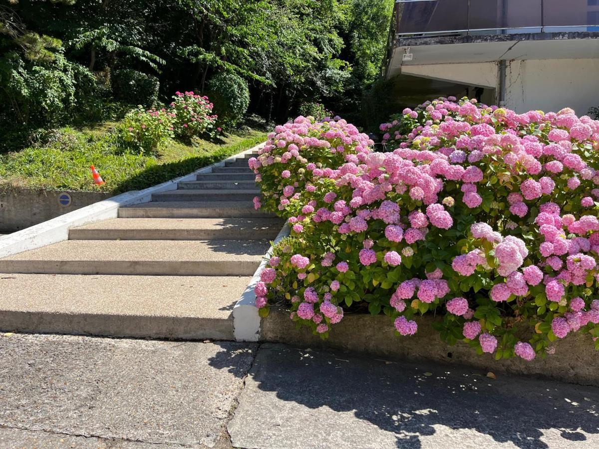 Trouville, Appartement Renove Avec Grande Terrasse Au Calme Εξωτερικό φωτογραφία
